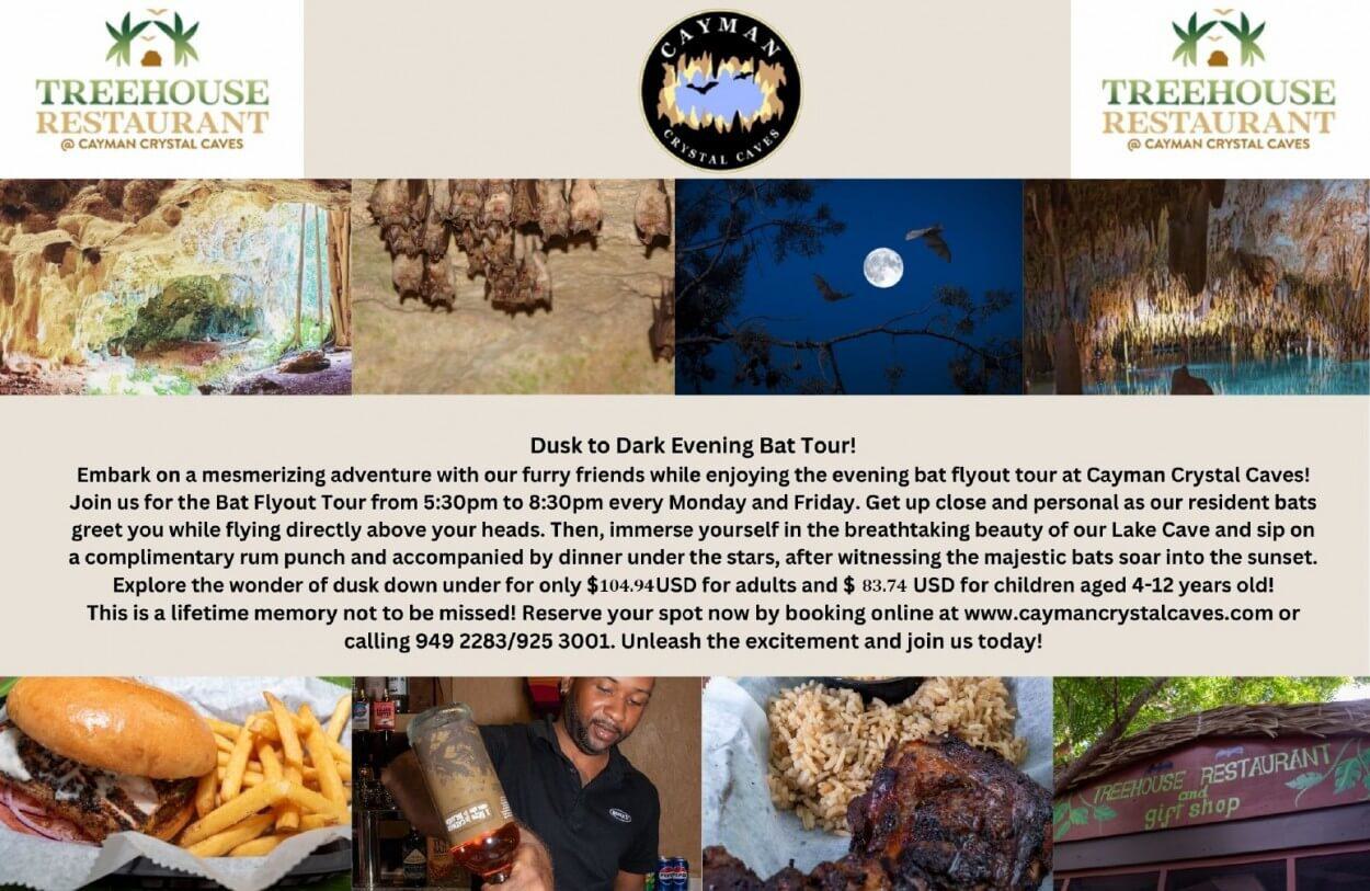 Dusk to Dark Evening Bat Tour and Dinner New Flyer 1719429155