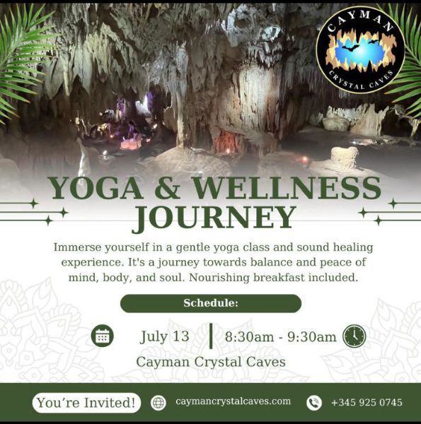 Yoga Wellness Journey Flier