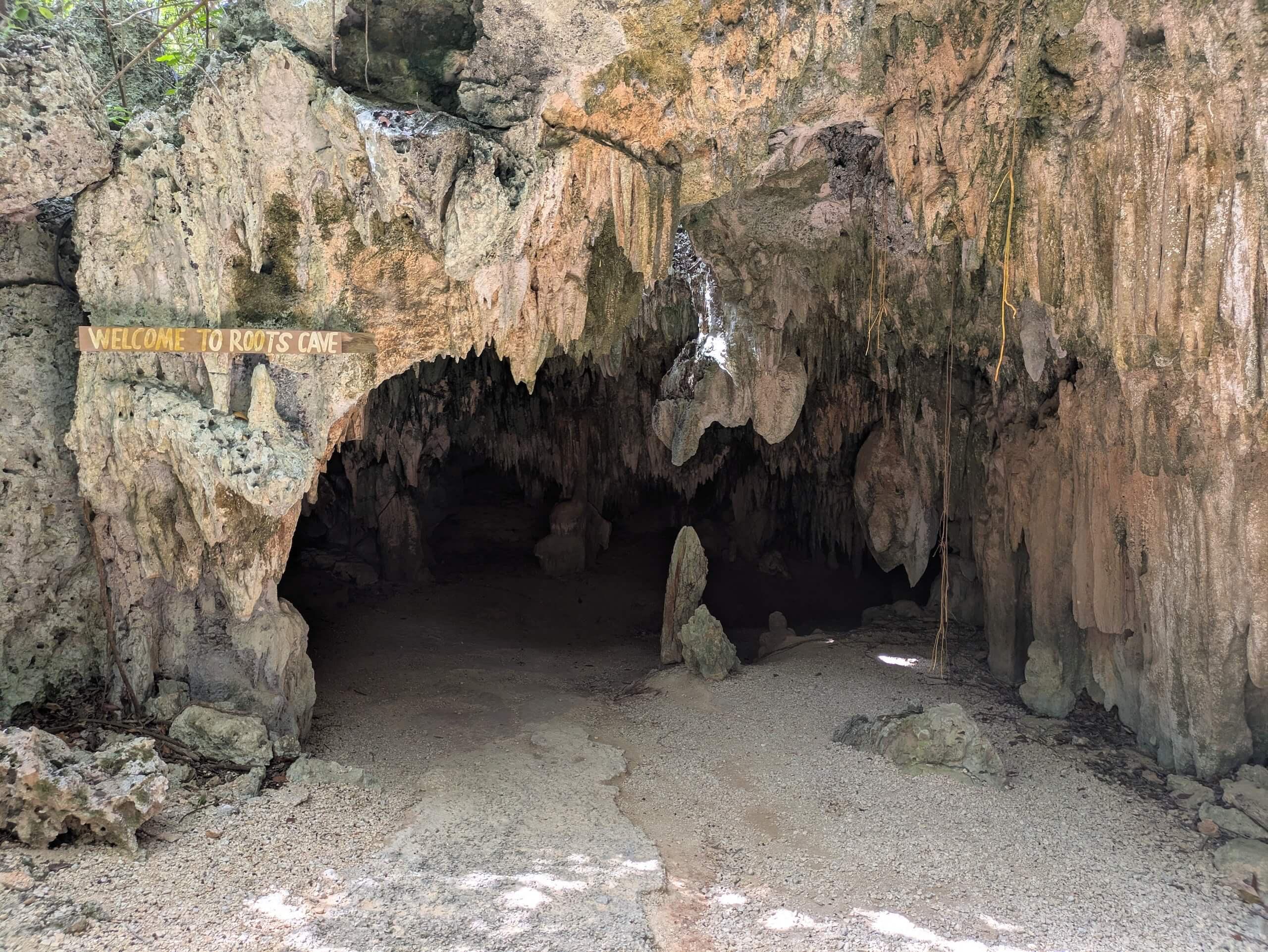 Roots cave entrance wide