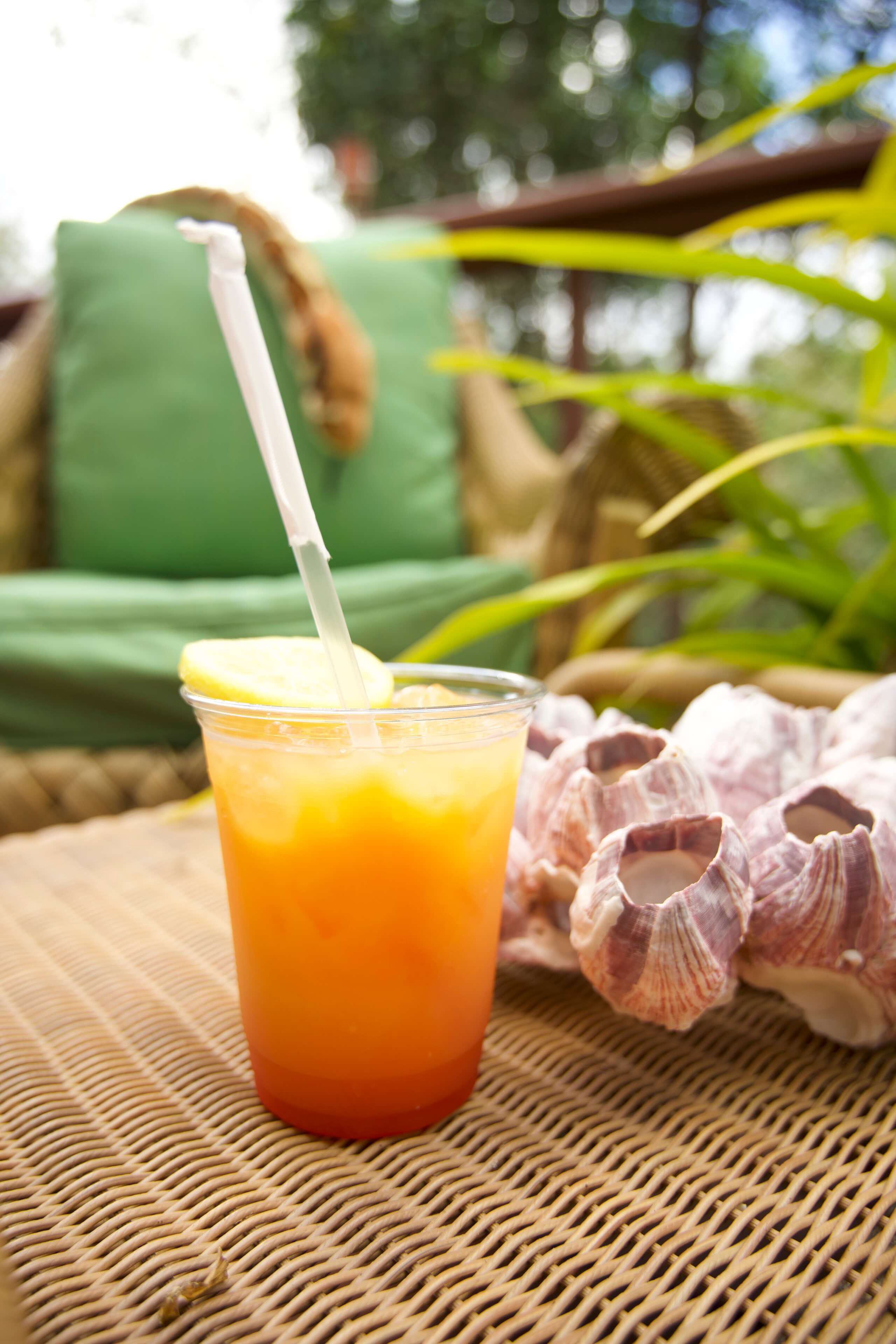 Treehouse restaurant caves drinks